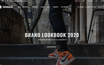 Donald html5 template demo-10