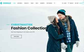 Donald html5 template demo-19