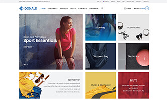 Donald html5 template demo-4